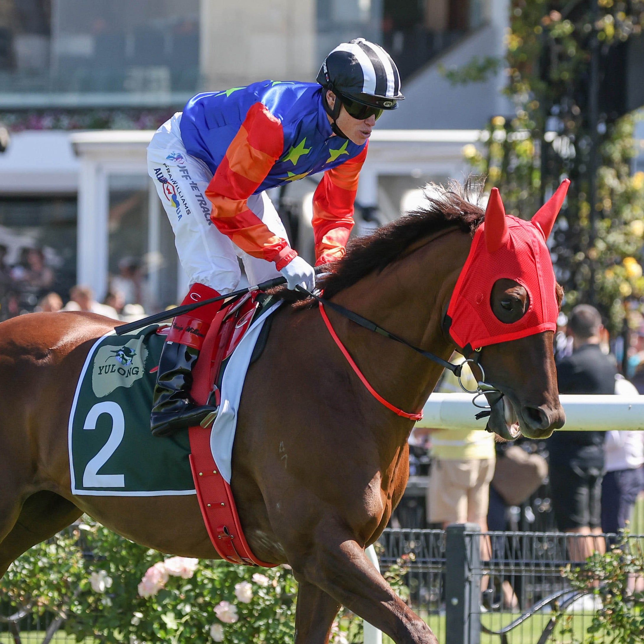 Bella Nipotina Swanky Socks