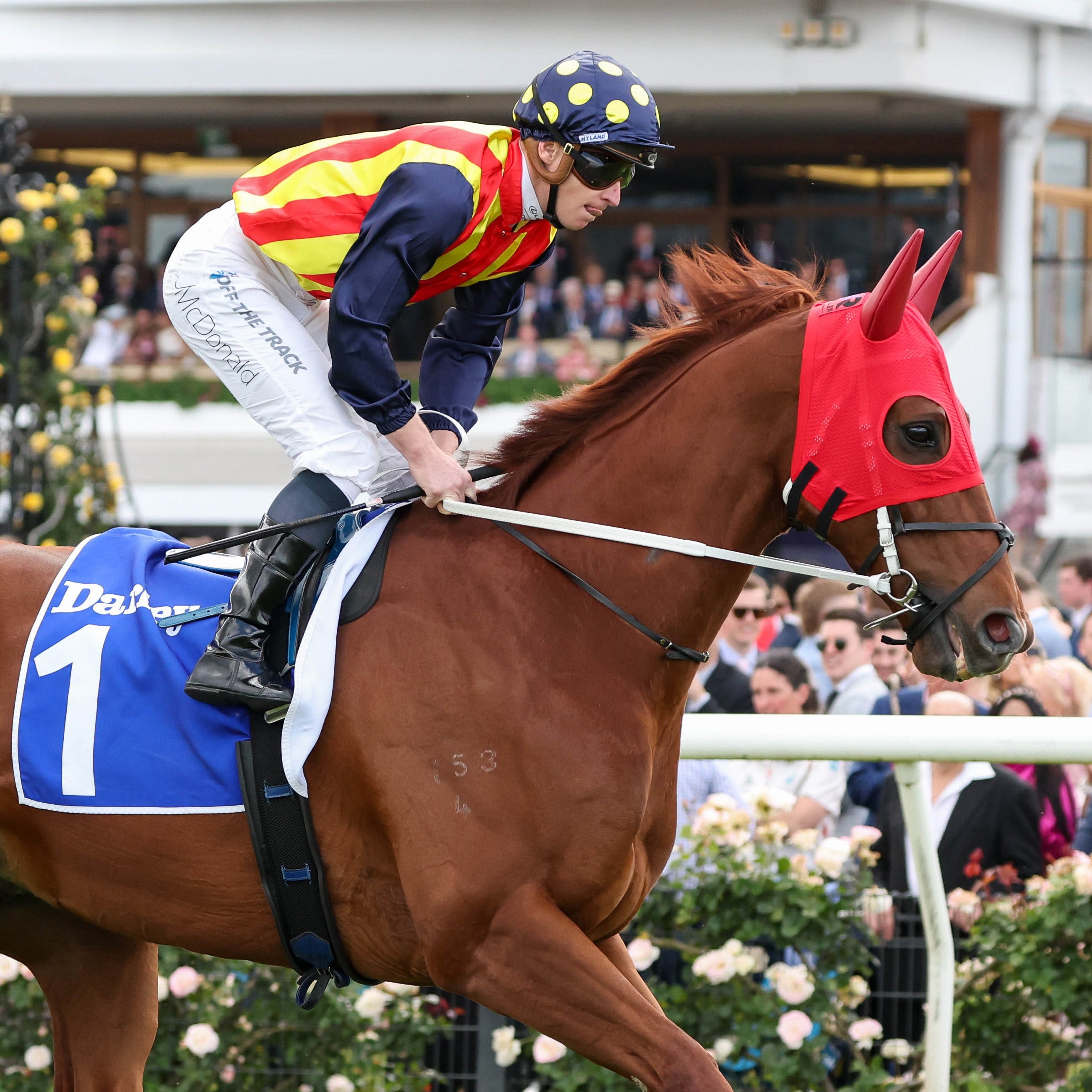 Nature Strip Swanky Socks