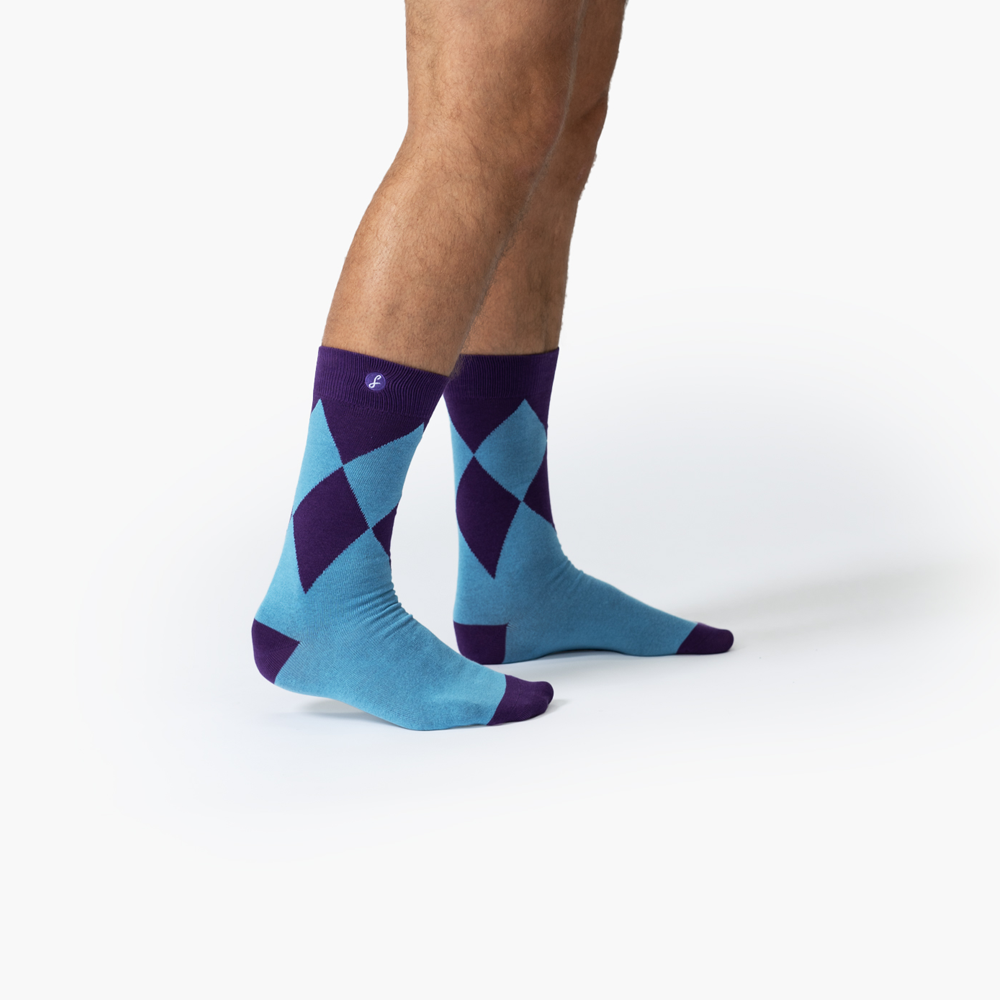 Pride of Jenni Swanky Socks