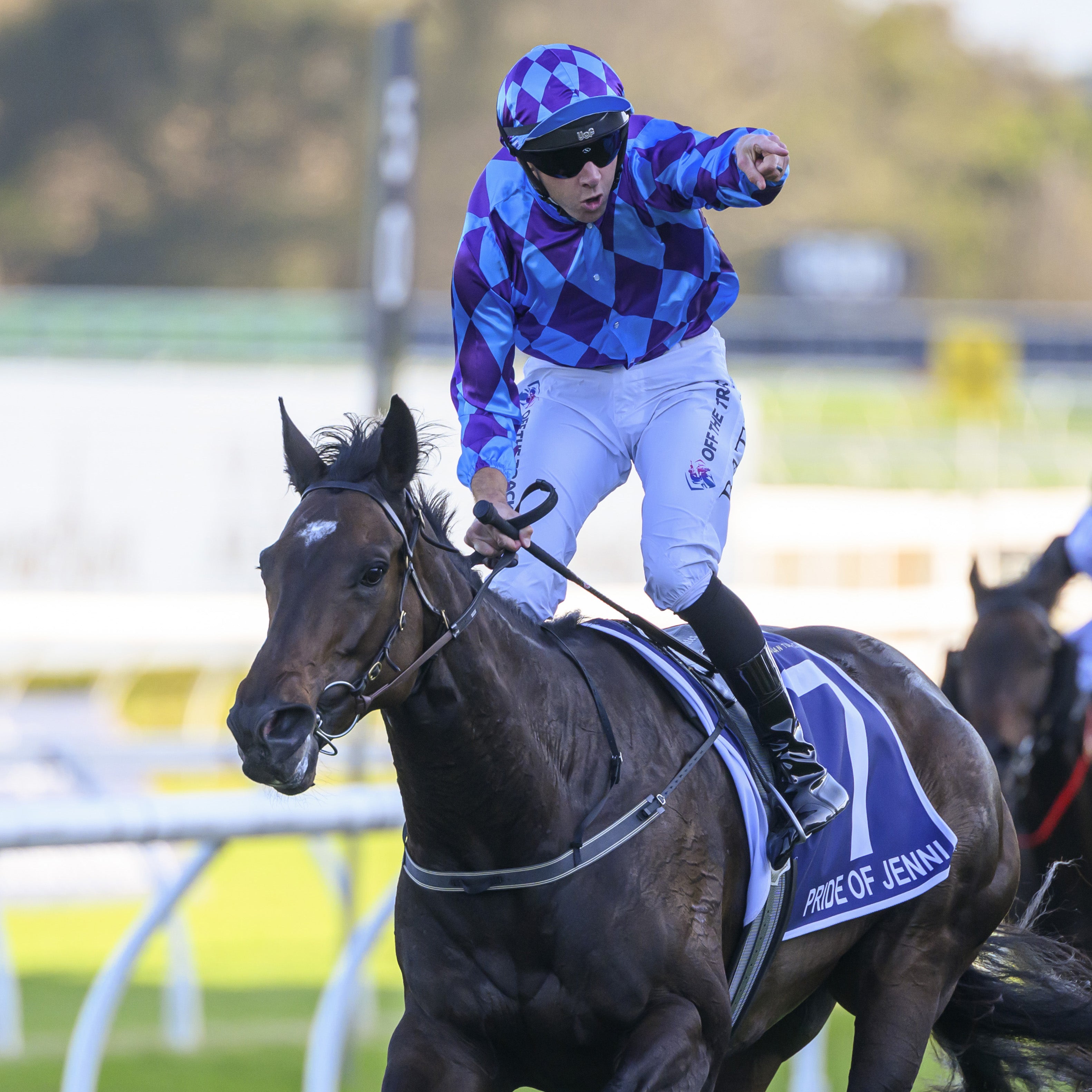 Pride of Jenni Swanky Socks