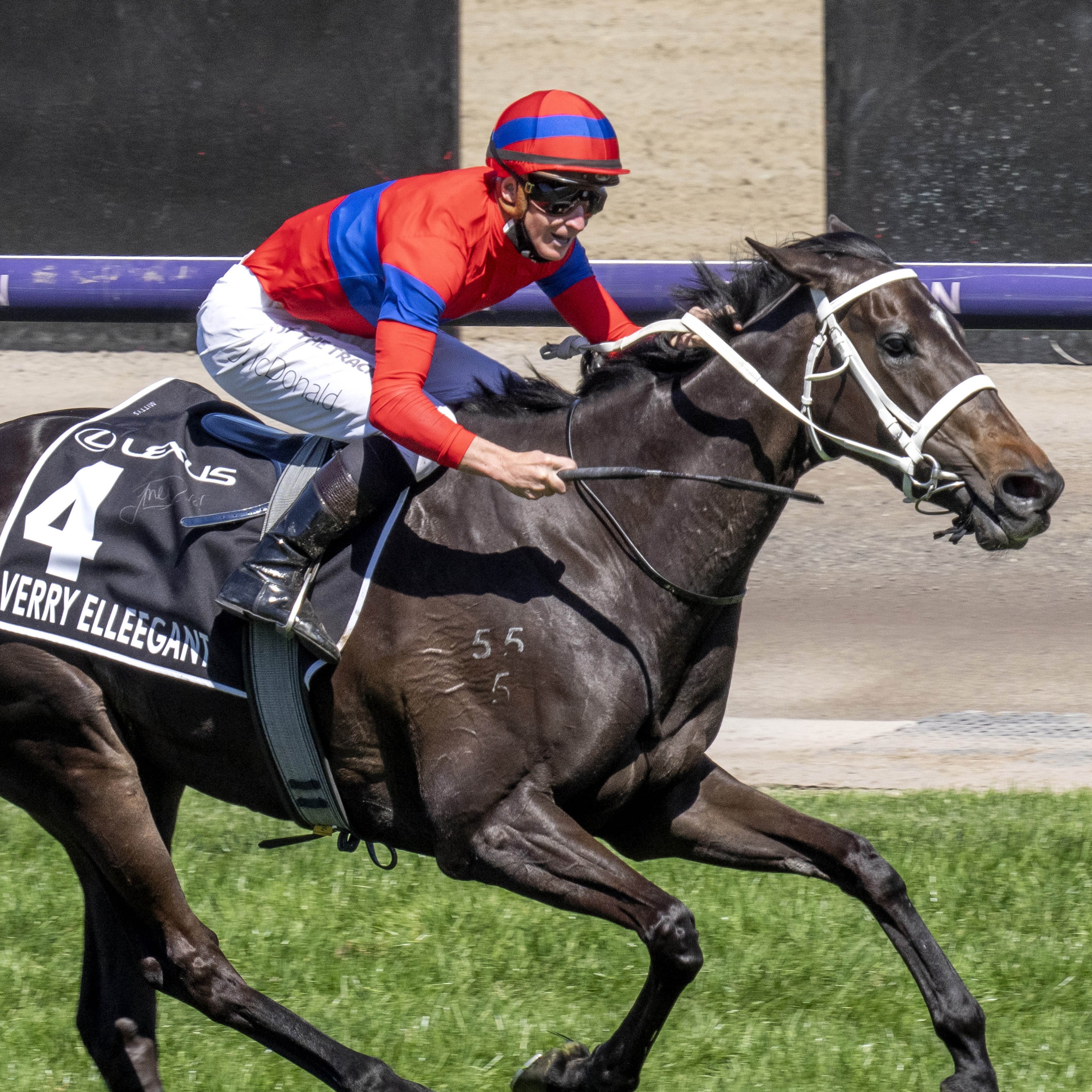 Verry Elleegant Swanky Socks