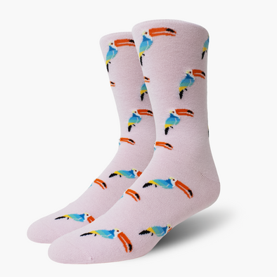 Tropical Toucans