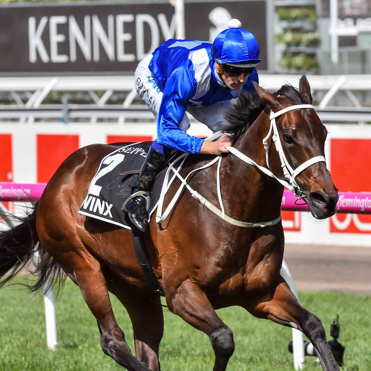 Winx Swanky Socks